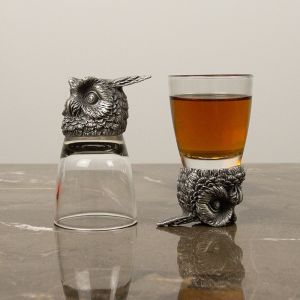 Owl Personalised Shot Glass Set
